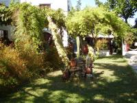 A garden outside Summer Lodge