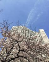 Shinjuku Hotel Guide 2026: 14 Great-Value Hotels with Easy Access and Shopping | Hotels Near Shinjuku Station, Family Stays and Luxury Picks