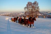 Hostia v ubytovaní Willa u Renaty - Widok na Giewont