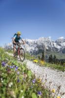 Jazda na bicykli v okolí ubytovania Pension Schnaitl