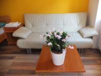 A seating area at Leopoldauer Apartment