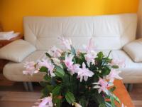 A seating area at Leopoldauer Apartment