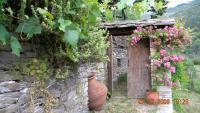 A garden outside House Rodia