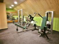 Fitness centrum a/nebo fitness zařízení v ubytování Hotel Tetřeví Boudy
