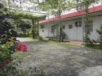 Gallery image of Golden flower Homestay in Yuli