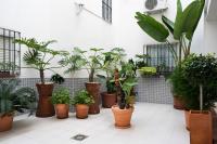 Vonkajšia záhrada v ubytovaní UrbanChicMalaga 3 Bedroom Spacious Quiet Historic Malaga Apt