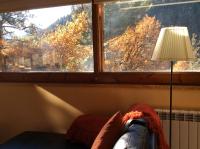 Půdorys ubytování Els Apartaments del bosc