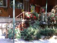 Zahrada ubytování Nimpha Bungalows