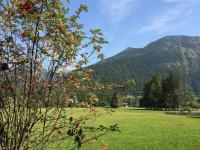a field with a tree and mountains in the background at Ferienwohnung am Walchensee in Walchensee
