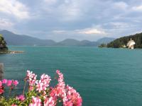 a view of a large body of water with pink flowers at Ferienwohnung am Walchensee in Walchensee