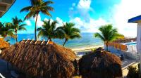 una playa con palmeras, cabañas de paja y el océano en Buccaneer Quarters and Suites, en Marathon