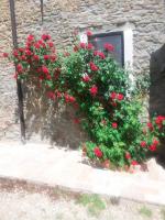 A garden outside Agriturismo Mirasole