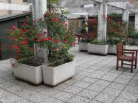 Ogród w obiekcie Albergo Residence Italia Vintage Hotel