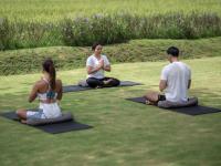 Gdas Bali Health and Wellness Resort thumbnail 15
