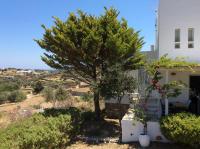 Vonkajšia záhrada v ubytovaní Peristeronas house sifnos - Dove Cot sifnos