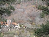 Táj Show holiday homes közelében