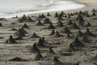 ラグジュアリーテントの近くで見られる自然の景観
