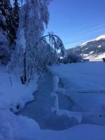 a path covered in snow next to a tree at Almwirt in Bramberg am Wildkogel