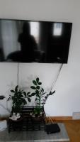 TV a/nebo společenská místnost v ubytování Apartment Visoka