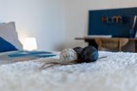 Plán poschodí v ubytovaní Casa Giordano