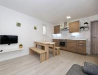 Kuchyň nebo kuchyňský kout v ubytování Apartman Antonio