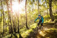 Jazda na bicykli v okolí ubytovania Appartement Unterberger