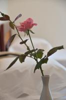 Messini Hotelの見取り図または間取り図