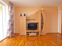 TV a/nebo společenská místnost v ubytování Apartments Denis 19