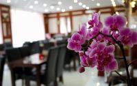Restauracja lub miejsce do jedzenia w obiekcie König Hotel