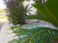 Vonkajšia záhrada v ubytovaní Anacasa Oasis Beach II Marineta AP2116