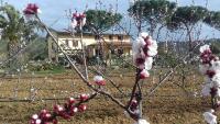 Agriturismo Val di Nappoにある庭