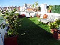 A garden outside Atico77