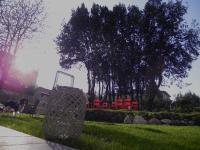 Zahrada ubytování Villa Carlotta