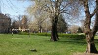 Ogród w obiekcie Szamóca Apartman