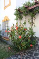 A garden outside Casa Gil - La Vega