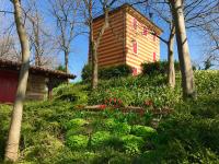 Ogród w obiekcie Agriturismo Antica Dimora Del Turco