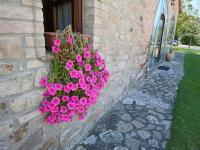 A garden outside Tranquil Cottage Retreat in Todi, Umbria