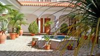 a courtyard with potted plants and a swimming pool at Hotel Diufain in Conil de la Frontera