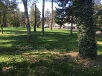 A garden outside Old Town in the green: Federico's apartment.