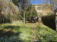 A garden outside Old Town in the green: Federico's apartment.