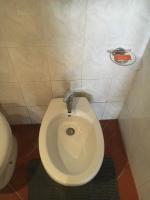 A bathroom at Old Town in the green: Federico's apartment.