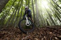 Jazda na bicykli v okolí ubytovania Hotel Iris Crillon