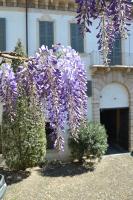 Vonkajšia záhrada v ubytovaní Palazzo Fracastoro