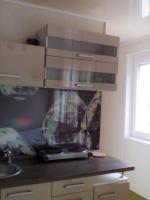 Kuchyň nebo kuchyňský kout v ubytování I love Heviz Apartments