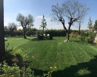 un cortile con erba verde e due alberi di Hotel La Campagnola 1926 a Zevio