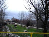Príroda v okolí of the country house
