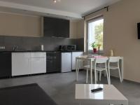 Kuchyňa alebo kuchynka v ubytovaní Dado Apartments
