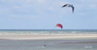 Gallery image of L Imperatrice in Berck-sur-Mer