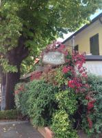 A garden outside La Dogana