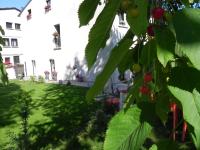 Zahrada ubytování Villa Carlotta